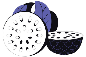 Kohlrabi Vegetable Vector Illustration Isolated on White Background