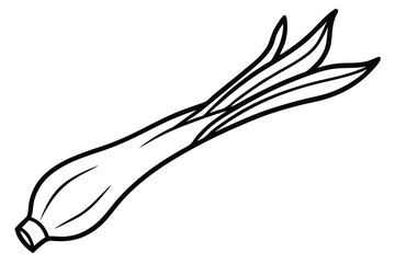 Leek Vegetable Vector Illustration Isolated on White Background