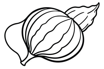 Oca Vegetable Vector Illustration Isolated on White Background

