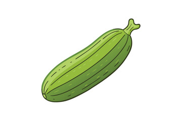 Ridge Gourd Vegetable Vector Illustration Isolated on White Background
