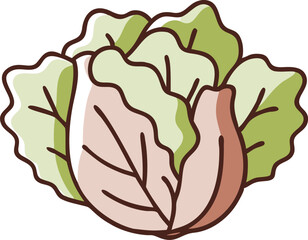 Romaine Vegetable Vector Illustration Isolated on White Background