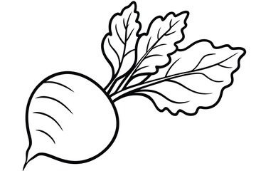 Turnip Vegetable Vector Illustration Isolated on White Background

