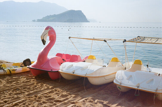Pedal catamaran rentals on the beach 