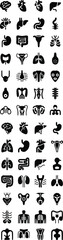 medical anatomy symbols