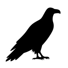 A striking silhouette of a majestic raven standing tall and observing the scene
