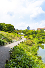初夏の清澄公園