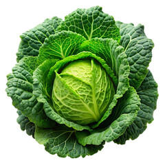Fototapeta premium Fresh Savoy Cabbage Vegetable: Healthy Eating and Cooking