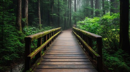 Fototapeta premium Wooden bridge leading into a lush green forest with fog