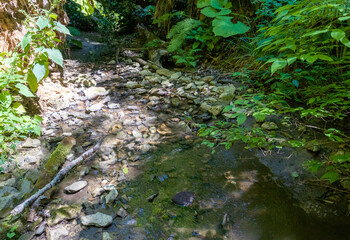 summer- hiking to the sources of a mountain river through difficult wilderness areas