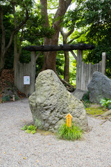 清澄庭園　伊豆磯石