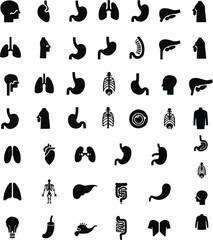 anatomy icons, human anatomy vector,