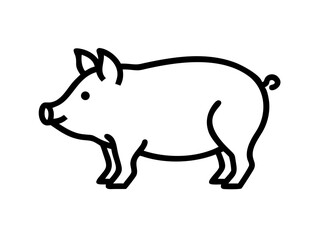 pig on transparent background for web and graphic design