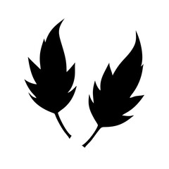 two leaves natural living silhouette on transparent background for web and graphic design