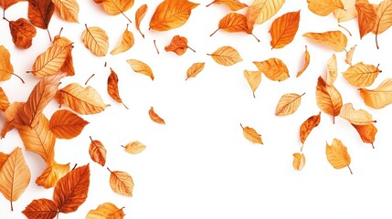 Autumn leaves scattered on white background (7)