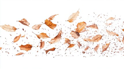 Autumn leaves swirling in the wind (34)