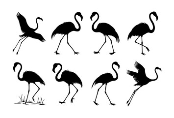 Silhouette illustration of eight flamingos in various poses against a white background
