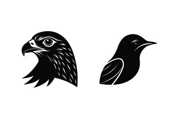 Elegant black and white bird silhouettes of a powerful eagle and a graceful songbird on white background