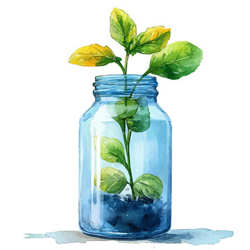 watercolor plant growing in blue jar clip art preview