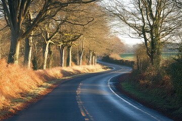 Obraz premium Serene winding road lined with trees showcasing autumn foliage, leading through a tranquil countryside landscape under soft morning light, ideal for travel and nature enthusiasts