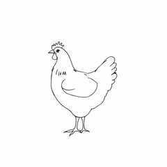 hen line art isolated on white background