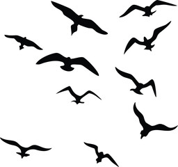 Obraz premium Black silhouetted seabirds are flying in a flock formation against a transparent backdrop