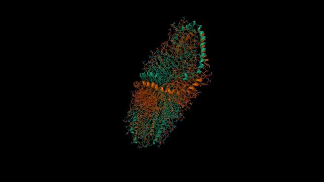 Solution structure of the double super helix model of high-density lipoprotein. Animated 3D cartoon and molecular surface models, pdb 3k2s, black background