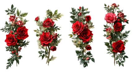 Rose floral decorative elements, vibrant red, leaf foliage, cut out transparent