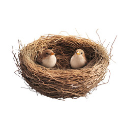 Two birds nestled in a cozy bird's nest