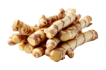 Fresh horseradish roots harvest