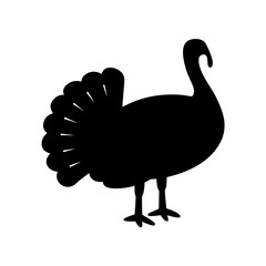 Silhouette of a Thanksgiving Turkey with Full Feathers on a White Background