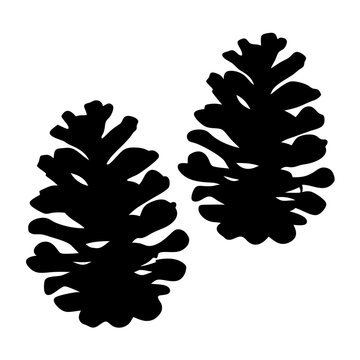 Two Black Pine Cones Against a White Background, Forest Graphic