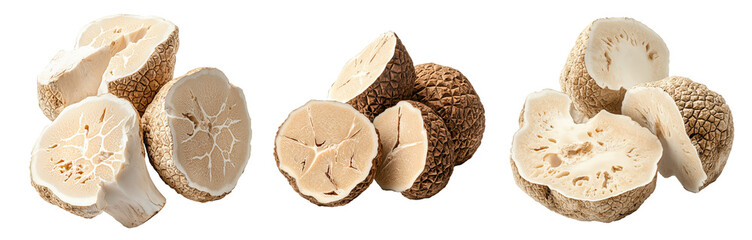 Set of Desert truffles Terfezia and Tirmania species isolated on white transparent background, great for culinary and gourmet themes.