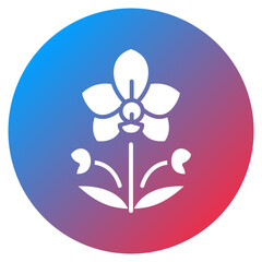 Orchid Vector Icon