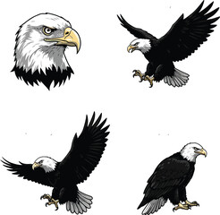 Bald Eagle Silhouette Vector, Majestic American Bird Logo in Black and White