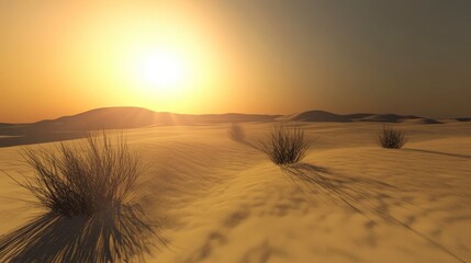 Golden Hour Desert Landscape: Sunrise or Sunset Over Dunes