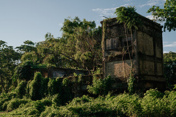 Abandoned building overgrown with vines and surrounded by lush greenery. Nature reclaiming urban ruins, perfect for themes of decay, exploration, and time