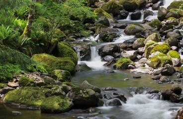 Scenic small water falls in Mount Rainier national park in USA.