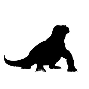 a silhouette of a komodo