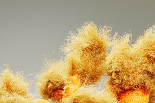 Organic plant featuring vibrant dry style hairs in abstract form - Powered by Adobe