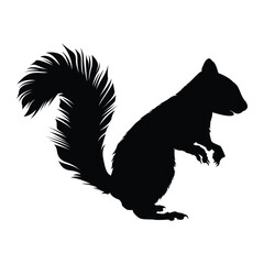on marks Red squirrel silhouette vector flat illustration design