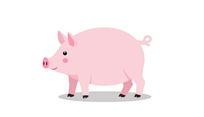 Fototapeta premium Pig on black, a dramatic portrait of farm animal against dark background pig
