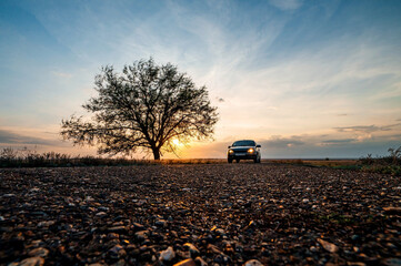 a car next to a lonely tree on the road in the rays of a beautiful sunset