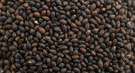 Black Peppercorns CloseUp Texture and Background Image