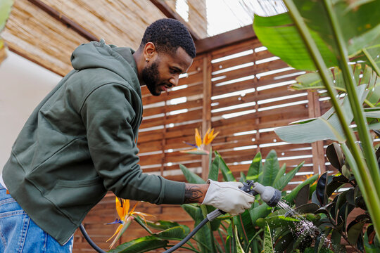 Smiling gardener waters plants in a balcony nurturing lush foliage