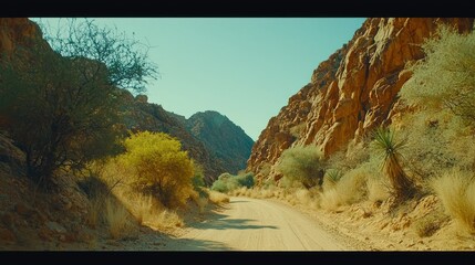 Scenic Desert Road Through Canyon with Rocky Mountains and Native Vegetation