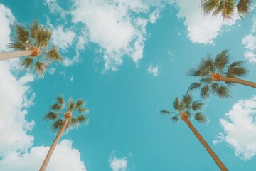 Obraz premium Blue sky with white clouds and tall palm trees