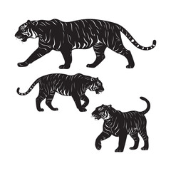 Fototapeta premium Black Tiger Vector Illustration Set
