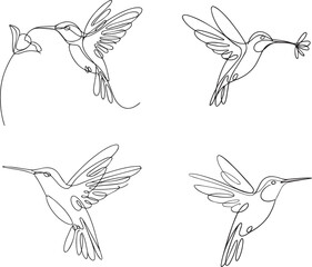 Hummingbirds Outline