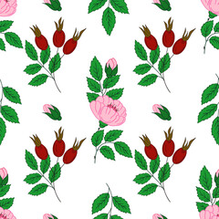 Pattern for textile or kitchen in hand draw style. Seamless pattern