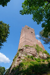 Donjon du château en ruine de Wangenbourg (France)